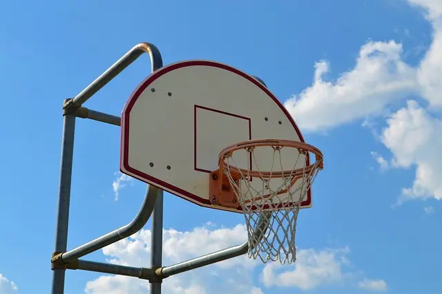 Guía de compra: Premios NBA 2023 - Selección y Comparativa